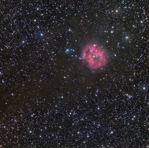 Cocoon Nebula   