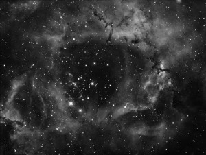 Caldwell 49 - Rosette Nebula   