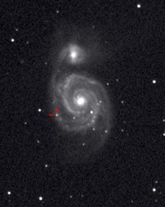 M51 Supernova             