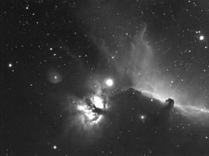 Horsehead Nebula IC 434                          