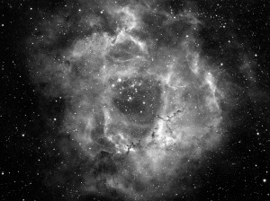 Rosette Nebula                     
